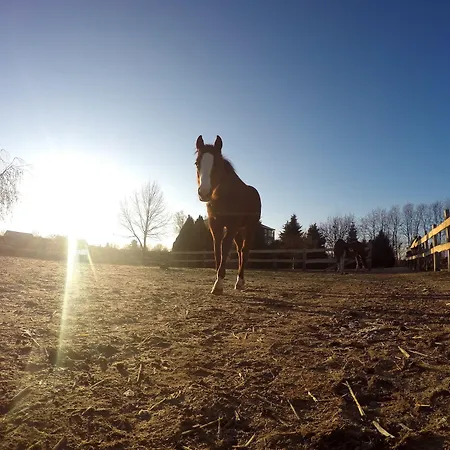 Baby Blue 3* 리볼리