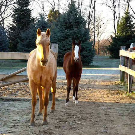 Baby Blue 3* Риволи