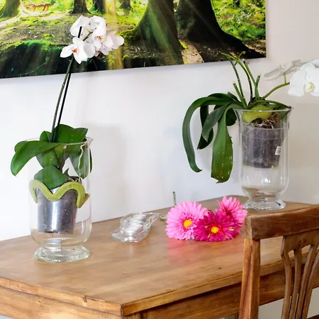 Baby Blue Отель типа 