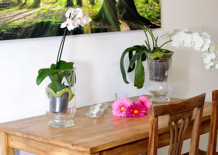 Baby Blue Bed & Breakfast